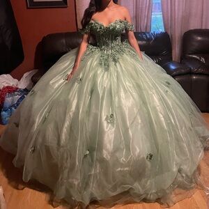 New Sage Green Quinceanera
Dress Beaded Butterfly Off The Shoulder!!